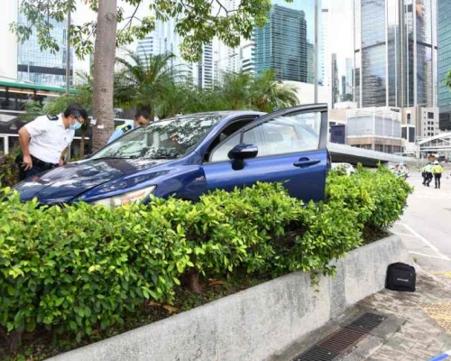 整個架車擱在花槽內。楊永亨攝