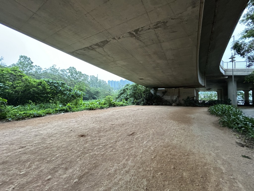 現場位處偏僻，杳無人煙，地上遺下兩處坑洞，不排除男童進行實驗所致。曾志恒攝
