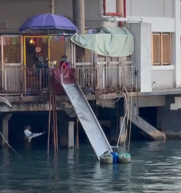 Threads截圖(資料來源:tumtumtummy_tommy@Threads) Threads截圖(資料來源:tumtumtummy_tommy@Threads)