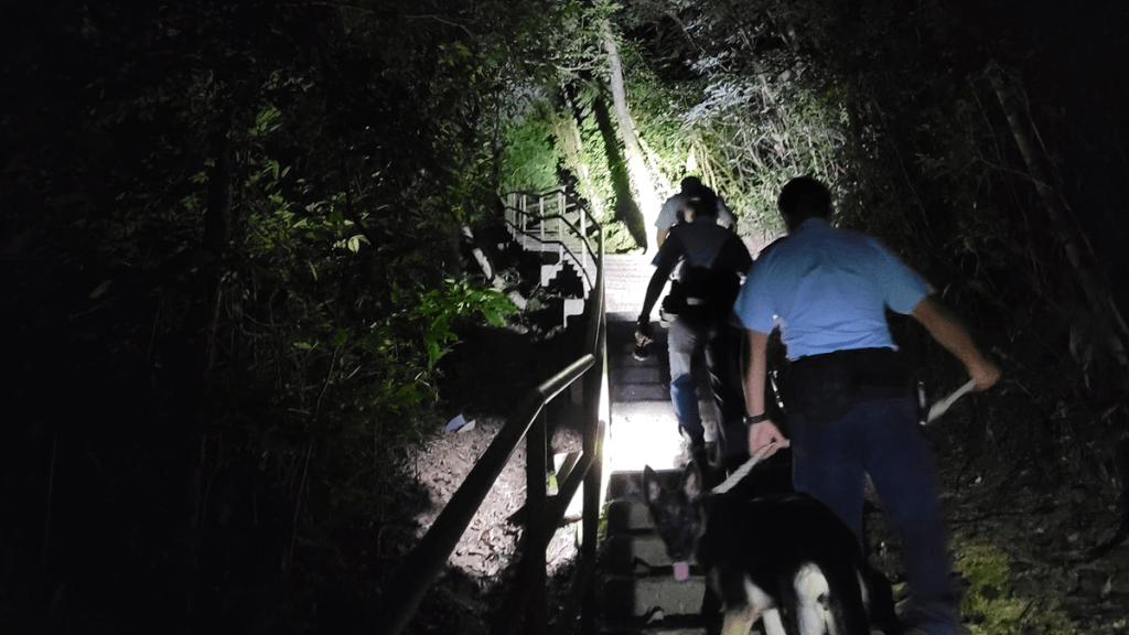 將軍澳警區將一連9日反爆竊。警方提供