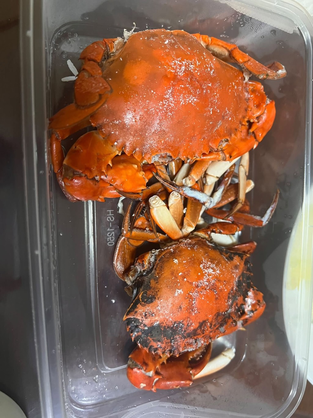 有部分食客就反映海鮮水準參差。 