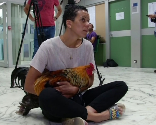 对于判决，费索在法庭外大喊Cocorico（公鸡啼叫声的法语），并表示自己兴奋地几乎「说不出话来」。AP