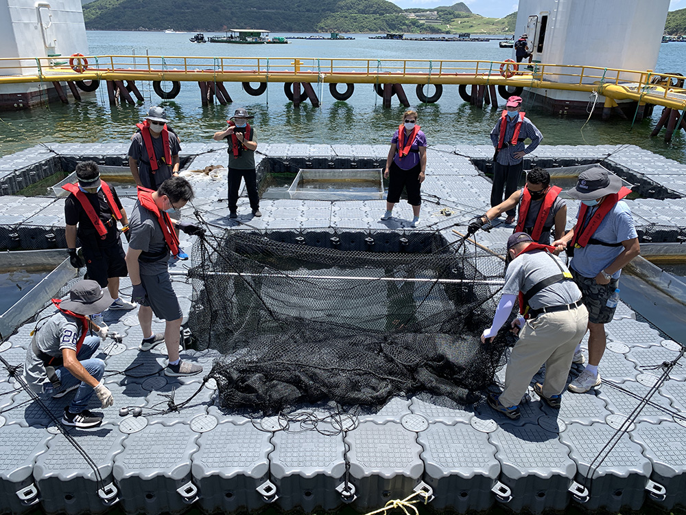 學員在東龍洲深海網箱養殖示範場進行實習訓練。網誌圖片
