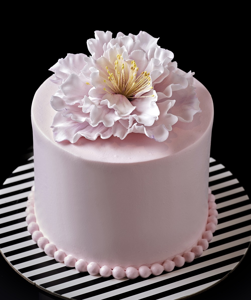 ANGEL（$550/4吋）