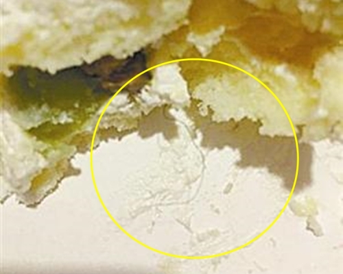 齊小姐肯定地說，絕對不是頭髮。