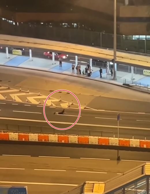 fb車cam L（香港群組）影片截圖  ​