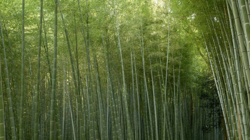 示意圖。（法新社）