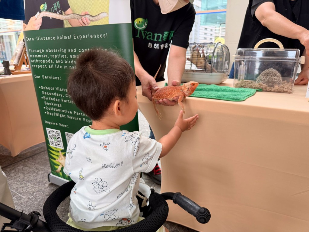 市集設有不同寵物,包括鸚鵡、山羊及兩棲爬行動物近距離接觸環節,讓市民了解不同寵物的習性與照料方式。 市集設有不同寵物,包括鸚鵡、山羊及兩棲爬行動物近距離接觸環節,讓市民了解不同寵物的習性與照料方式。