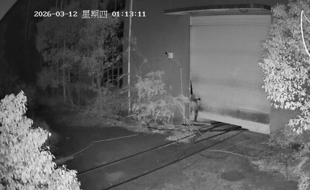 小偷聲到鬼笑聲後嚇得原路逃走。微博