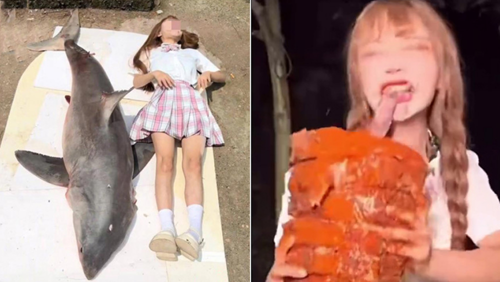 網紅「提子」烹食瀕危大白鯊做食物,被警方控制。
