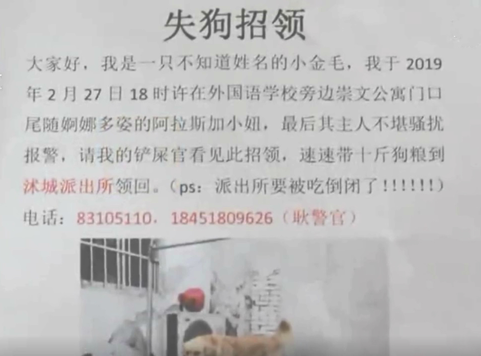 派出所发出寻狗主启事。网上图片