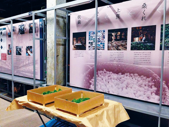 富岡製糸場透過展示板、實物及模型，介紹昔日養蠶採絲及編織絲綫的故事。