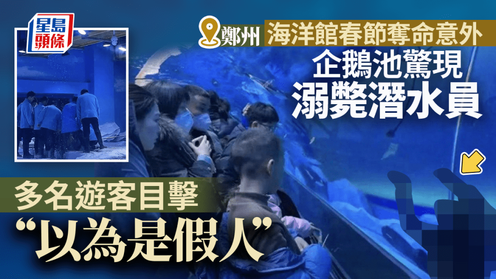 鄭州海洋館驚現溺亡潛水員  目擊遊客：以為是假人