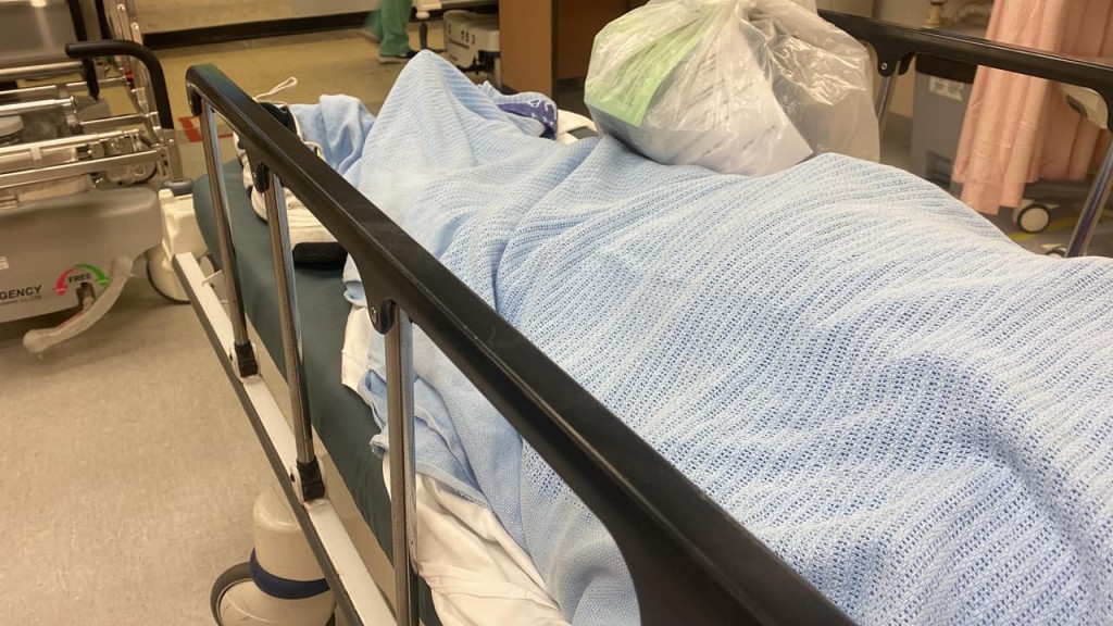 楼主指父亲大腿、盆骨都有骨折，现时需在东区医院留医。网上图片