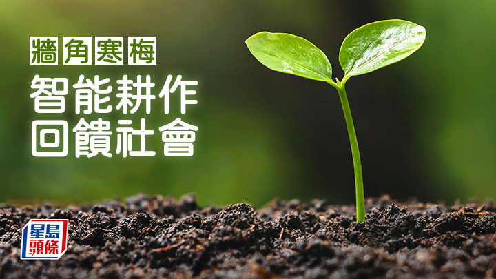 李建文 - 智能耕作回饋社會|牆角寒梅