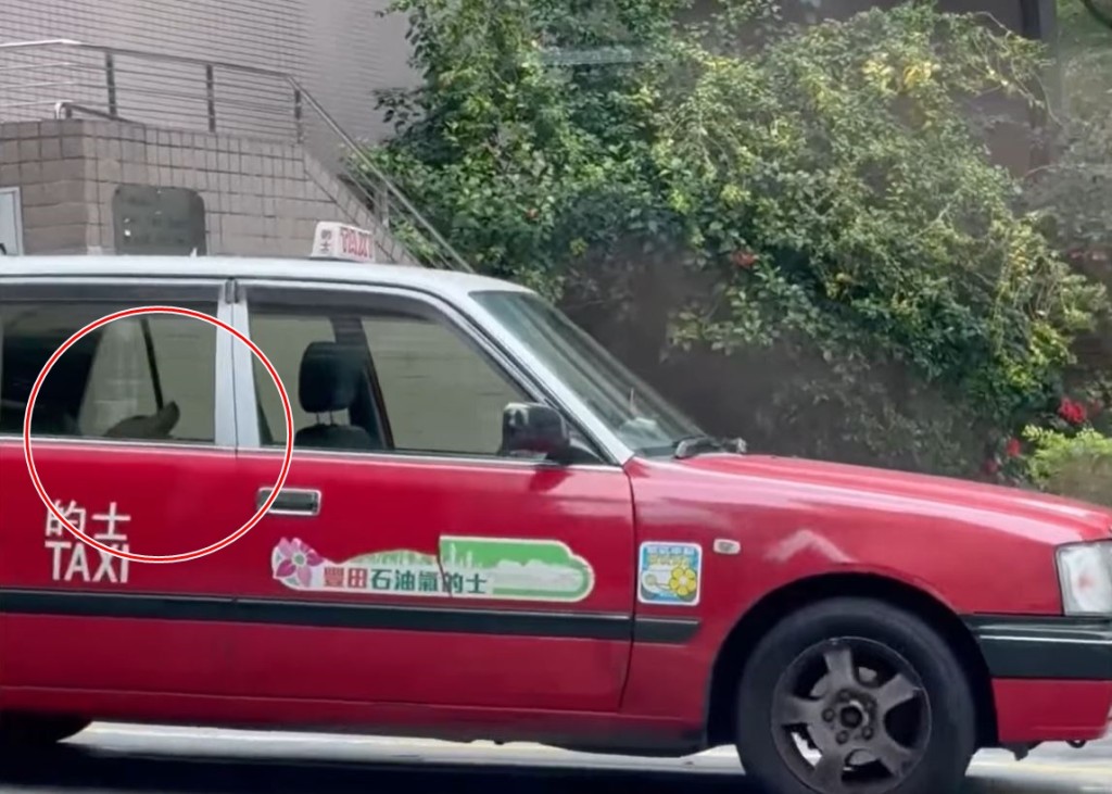 影片中拍得司機戴上鴨舌帽，疑似正在「躺平」駕駛。FB「車cam L（香港群組）」