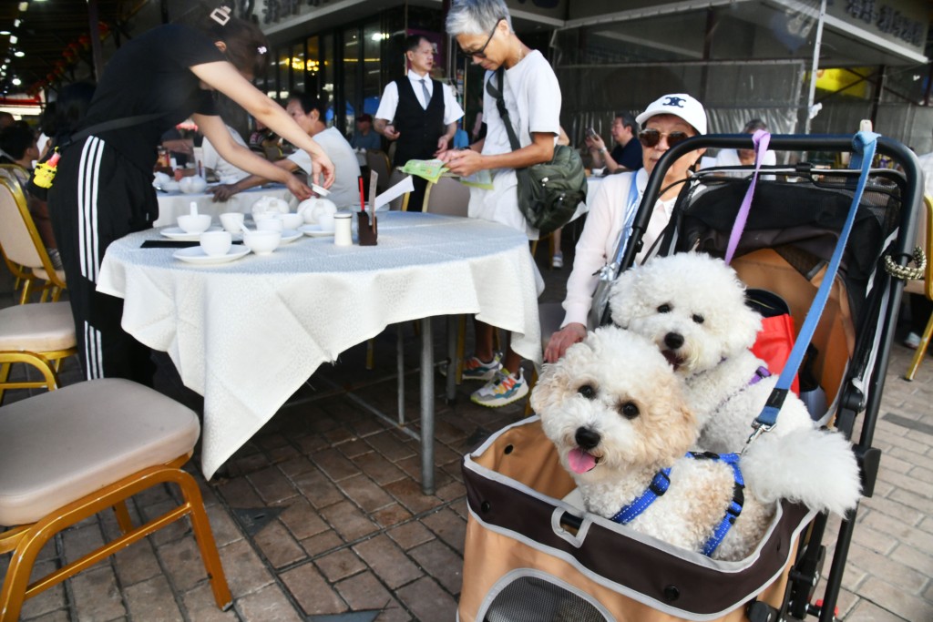 由7月9日起，狗隻可進入獲批准的食肆。