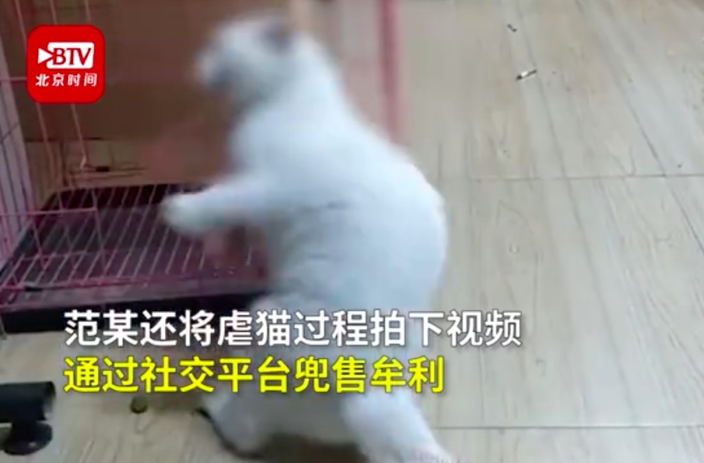 網圖