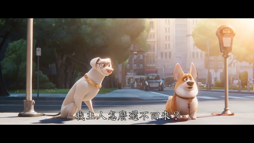 「超人狗」同一般狗傾唔到偈。