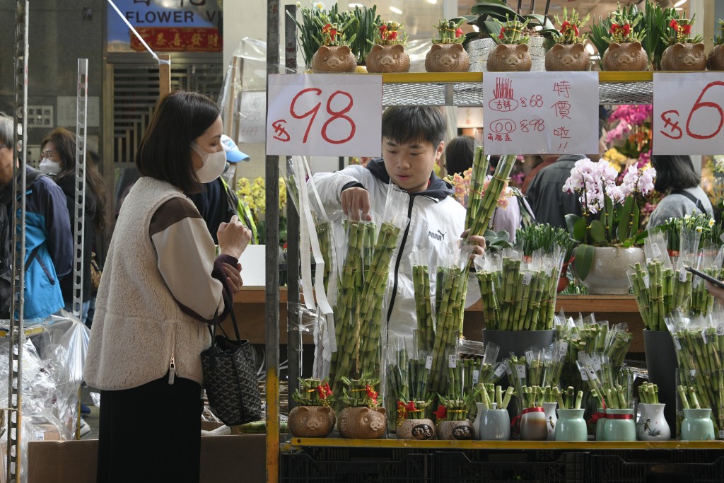 市民在花墟选购年花。陈浩元摄