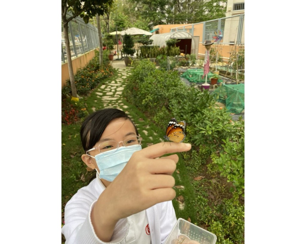 学生成功将幼虫养育成蝴蝶，学习保育的重要。