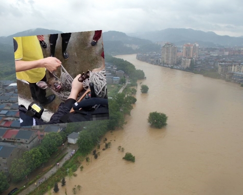 新華社圖片/網圖