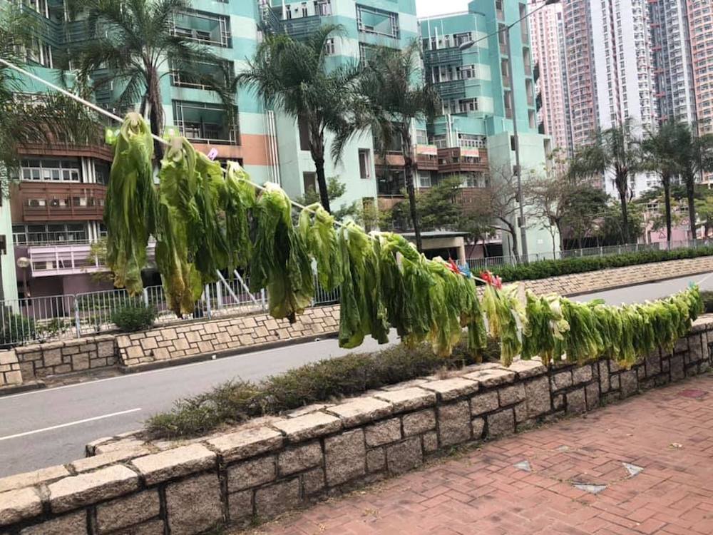 天水圍亦有街坊晾曬菜乾。香港行山遠足之友FB圖片