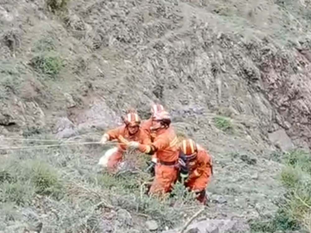 影片截圖