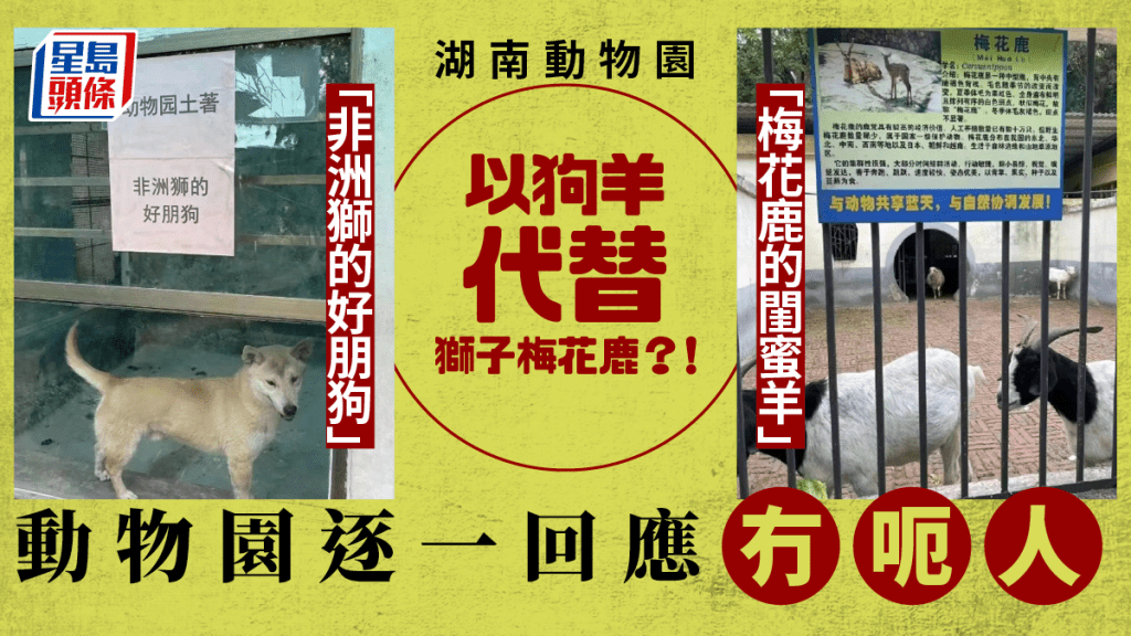 动物园被投䜣以用狗羊代替狮子梅花鹿欺客。