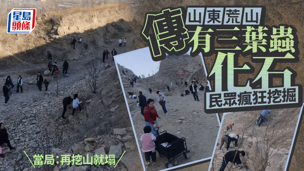 三葉蟲化石？︱民眾山頭瘋狂挖掘　當局封鎖：再挖就塌︱有片