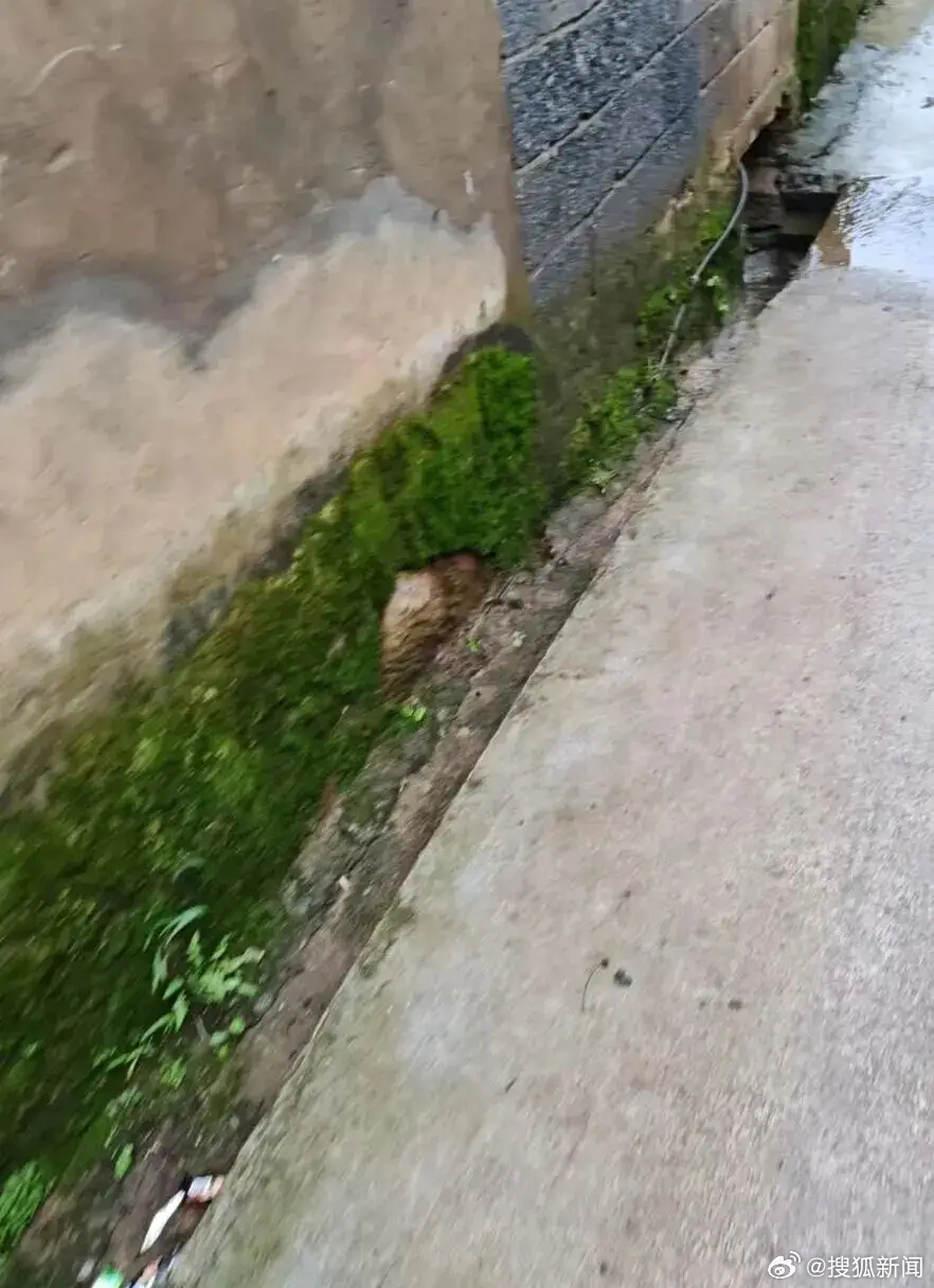 14岁少女被男同学杀死后弃尸路边。搜狐新闻