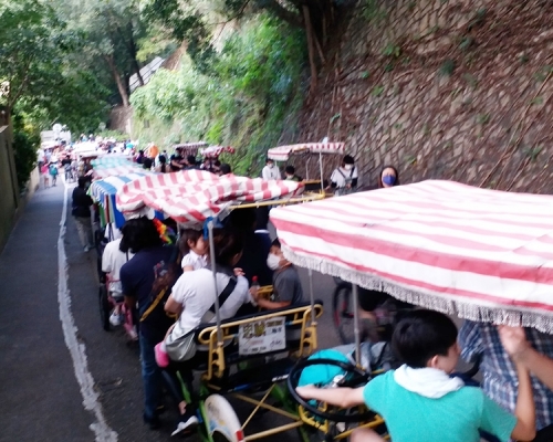 單車數量之多看不到單車龍的隊尾。facebook 群組「Tai Po大埔」 相片
