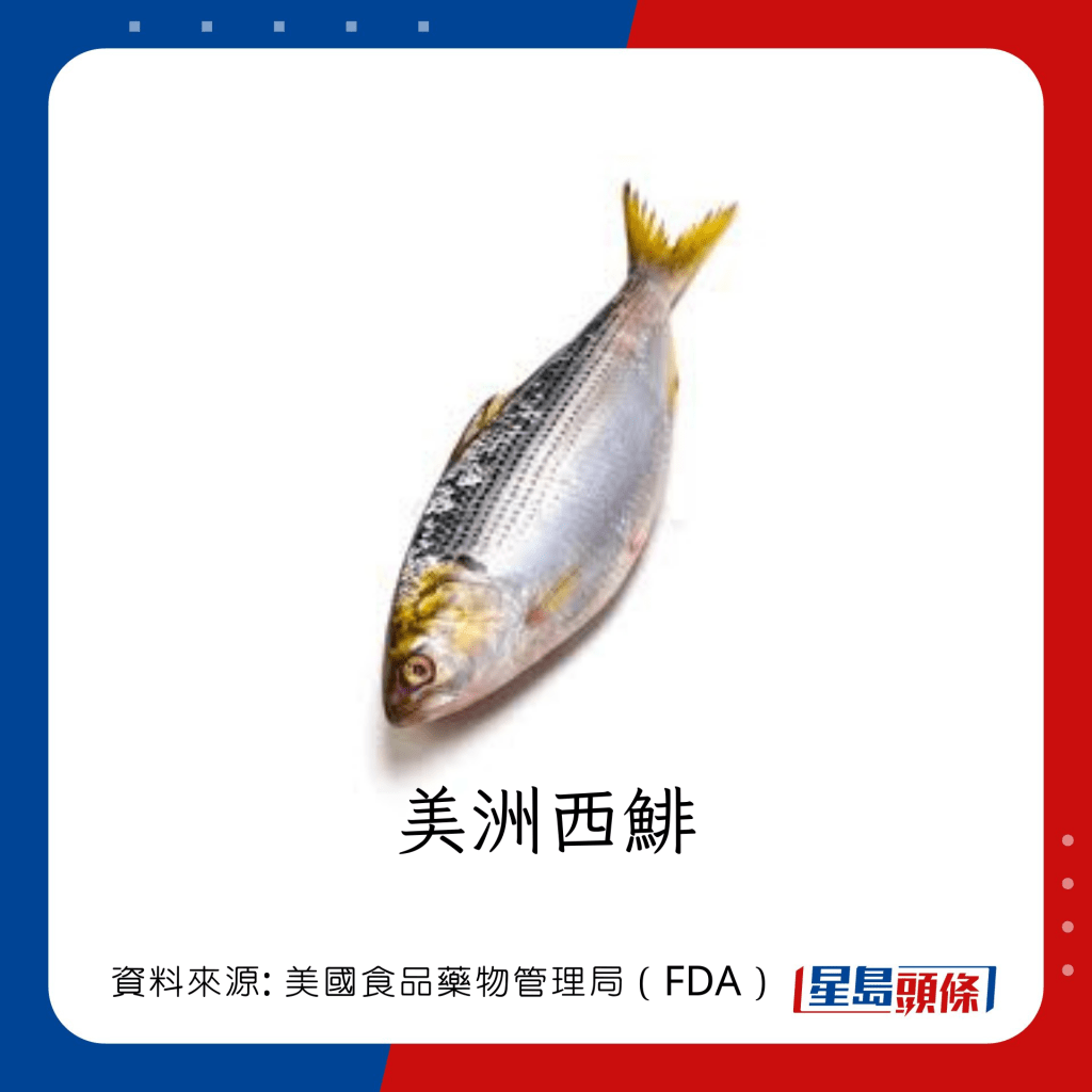 低水銀魚類 