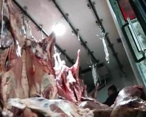 河北滄州連夜調查瘦肉精羊肉事件。（網圖）