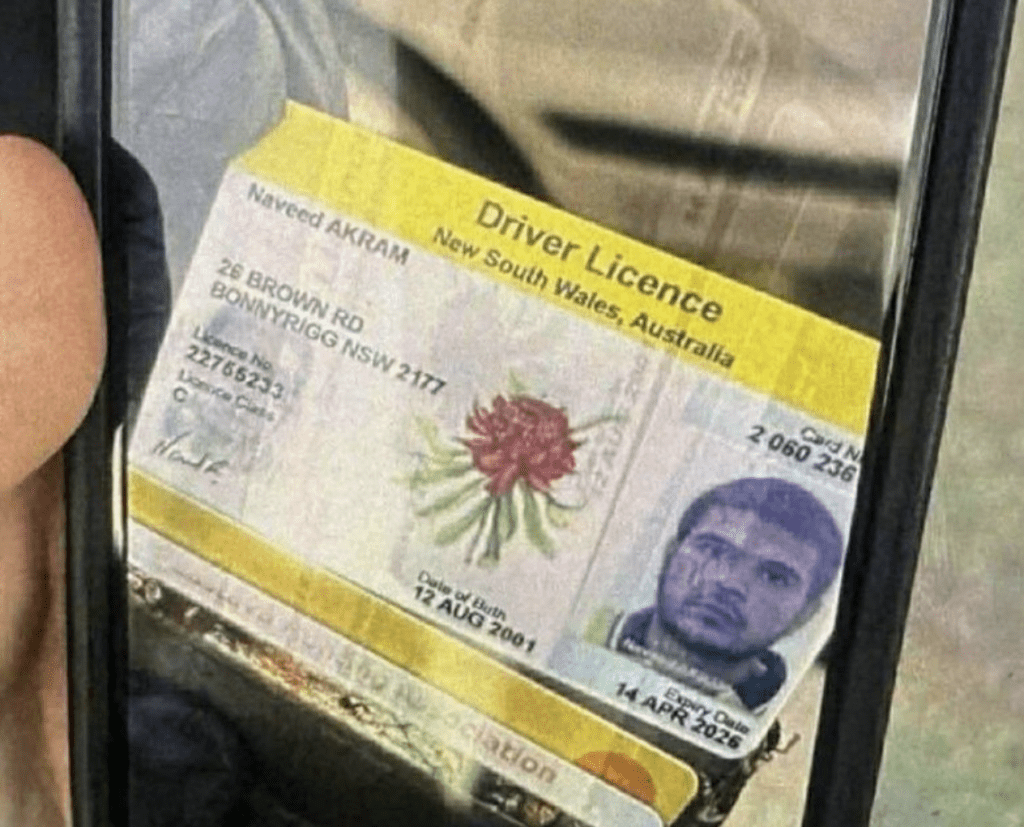 网传24岁枪手纳维德的驾驶执照。X@choga_don