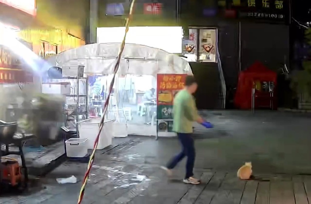 烤魚店老闆餵流浪貓期間，一個花盆突從天而降險。極目新聞