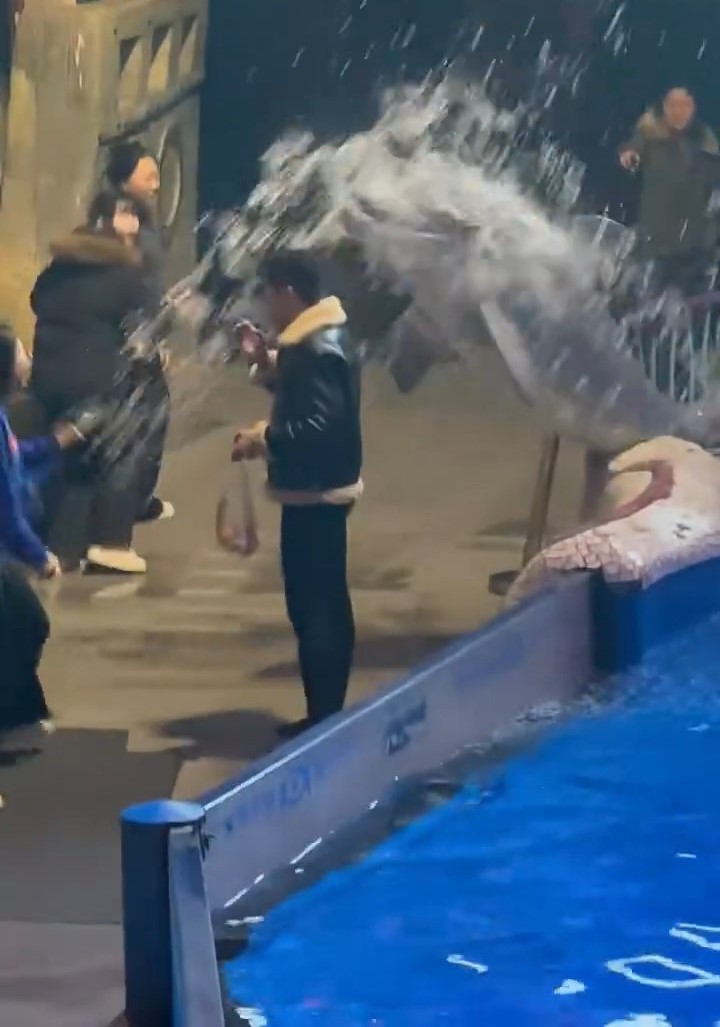 網傳大連一海洋館內,一名男遊客無視吸煙禁令,水池內白鯨噴水淋頭獲激讚。紅星新聞 網傳大連一海洋館內,一名男遊客無視吸煙禁令,水池內白鯨噴水淋頭獲激讚。紅星新聞