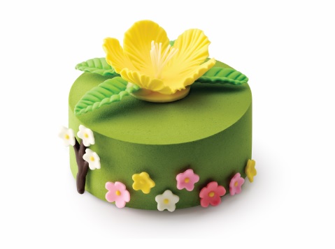 「溫馨花語」海綿夾心蛋糕 （1.2磅）：$288