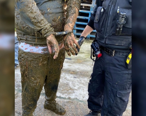 英國偷車賊逃避警方追捕跌落牛糞深坑。FB圖