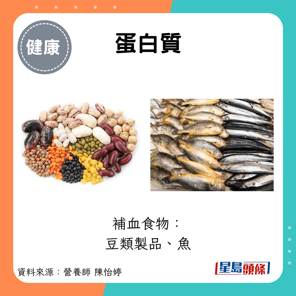 蛋白質：補血食物： 豆類製品、魚