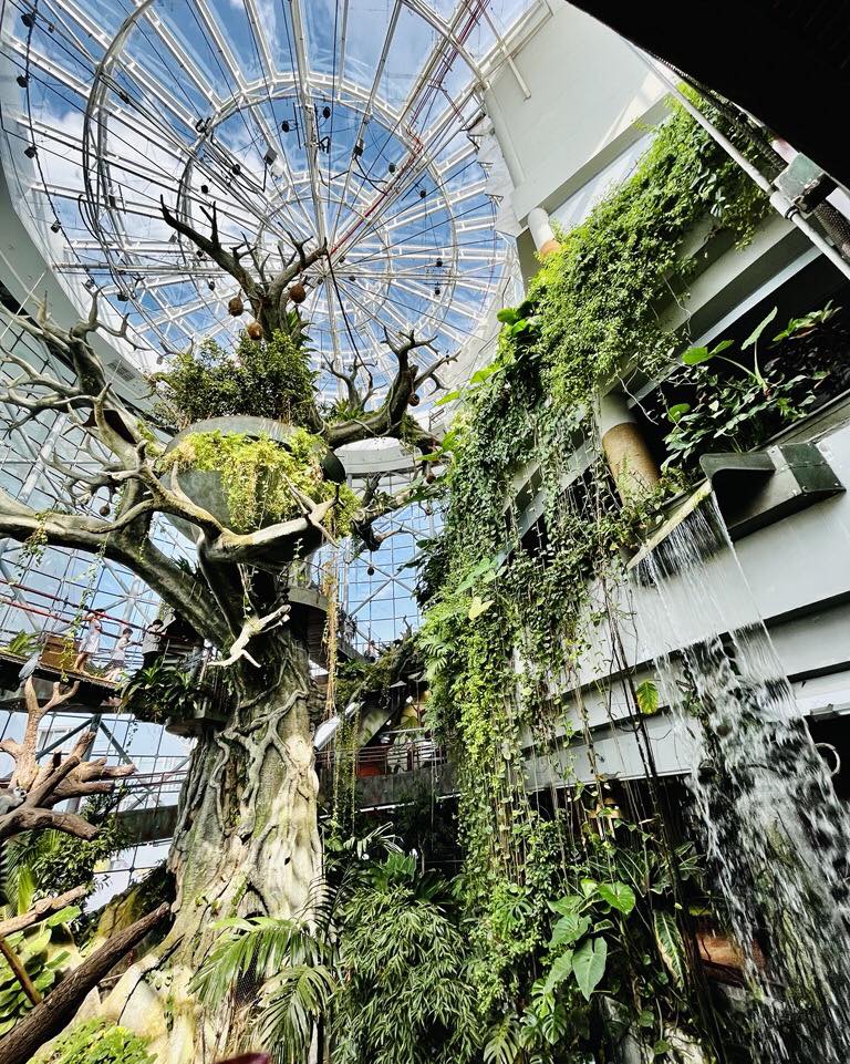 綠色星球熱帶雨林館（圖片來源：EGL）