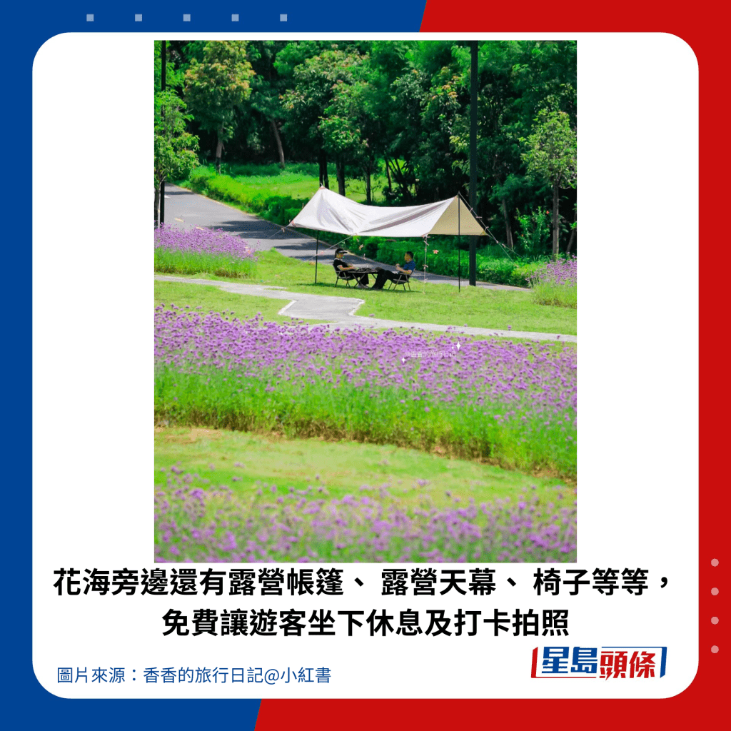 花海旁邊還有露營帳篷、 露營天幕、 椅子等等, 免費讓遊客坐下休息及打卡拍照。