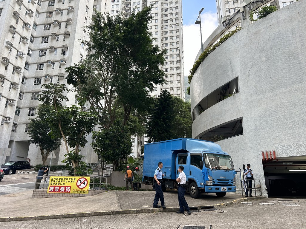 當時有工人在翠竹花園4座對開停車場鋸樹。 當時有工人在翠竹花園4座對開停車場鋸樹。