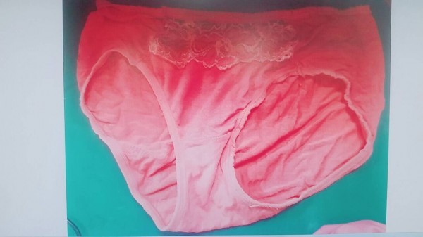 詹男偷走的內褲。網上圖片