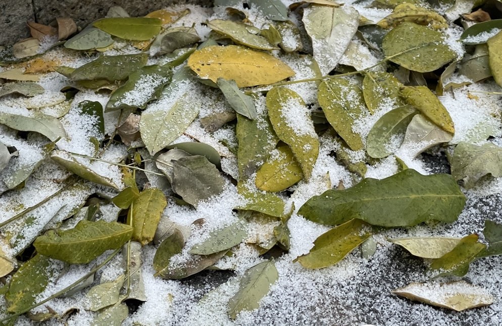 北京發布暴雪黃色預警。網上圖片