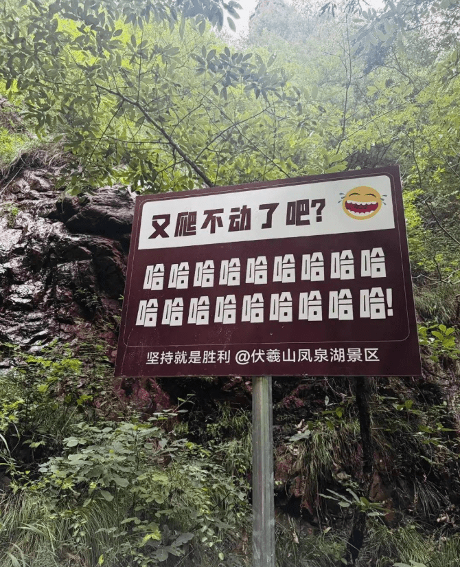 遊客爬山遇另類加油牌。紅星新聞
