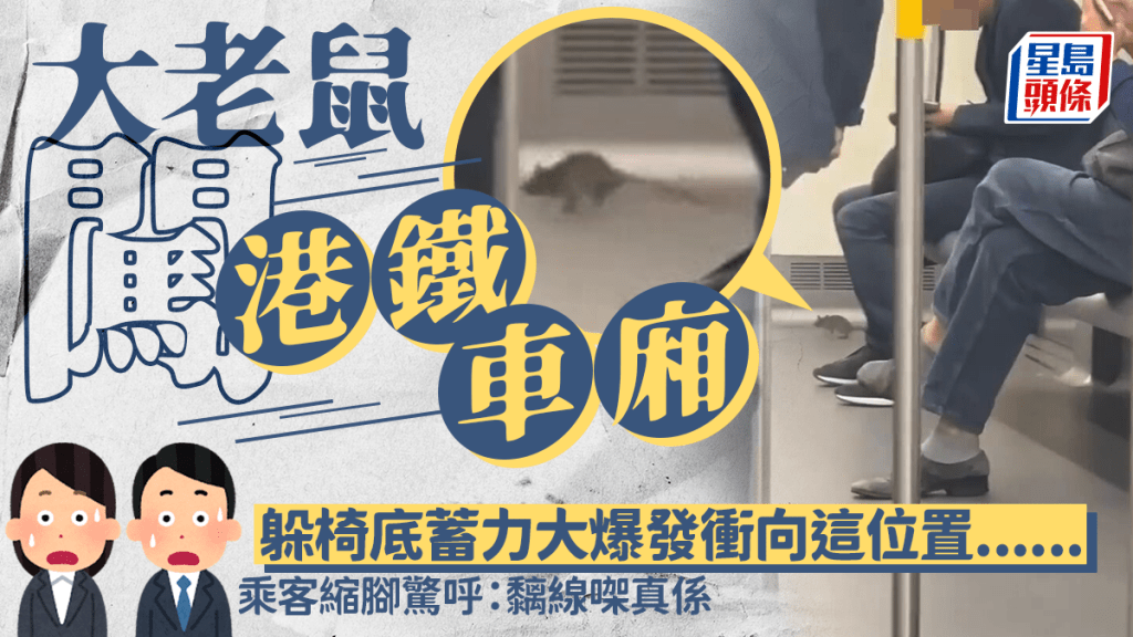 老鼠闖港鐵車廂躲椅底蓄力大暴走 衝向這位置...... 乘客嚇壞急縮腳