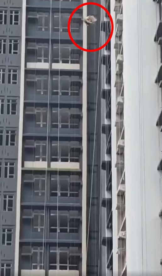 fb香港建造業總工會影片截圖