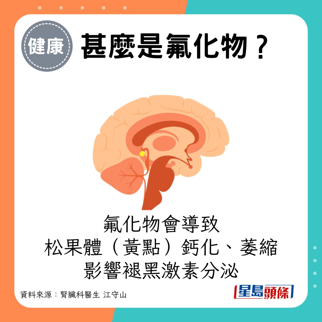 氟化物会导致松果体钙化、萎缩，影响褪黑激素分泌。