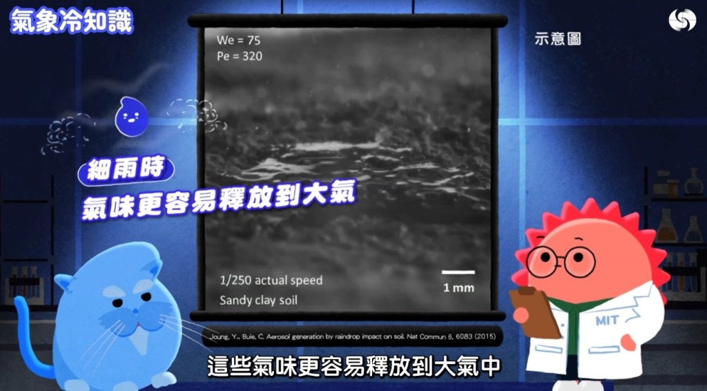 香港天文台《氣象冷知識》「汪汪夢裏聞:下雨的味道」截圖。 香港天文台《氣象冷知識》「汪汪夢裏聞:下雨的味道」截圖。